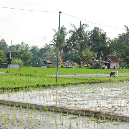 Permana Ubud Cottage Екстериор снимка