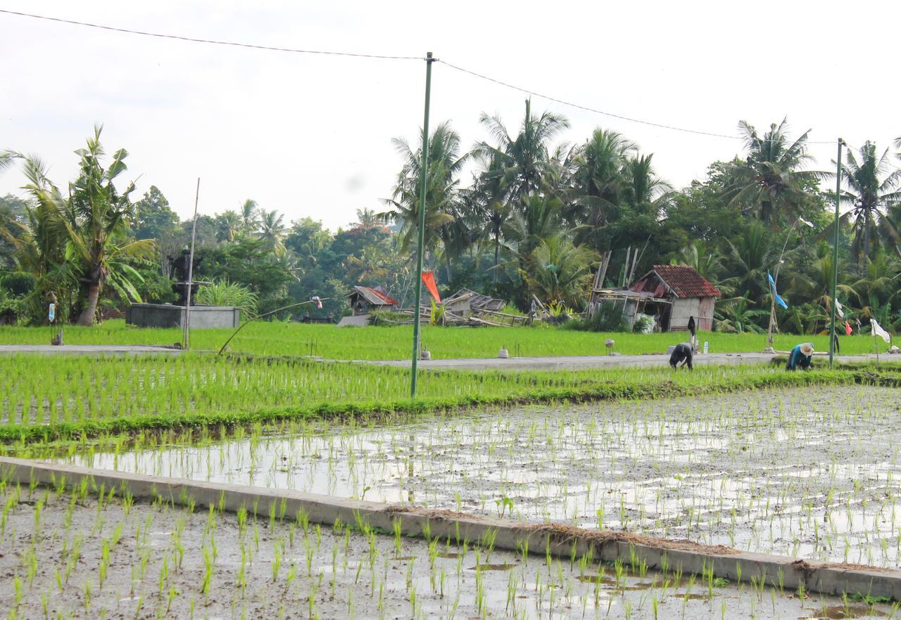 Permana Ubud Cottage Екстериор снимка